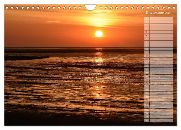 Produktbild: Ein Sommer auf Texel (Wandkalender 2026 DIN A4 quer), CALVENDO Monatskalender