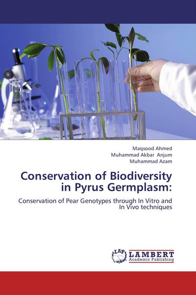 Produktbild: Conservation of Biodiversity in Pyrus Germplasm
