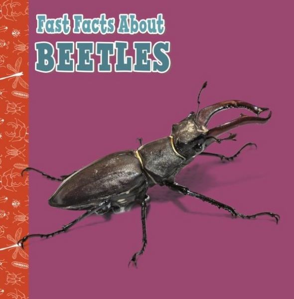 Produktbild: Fast Facts About Beetles