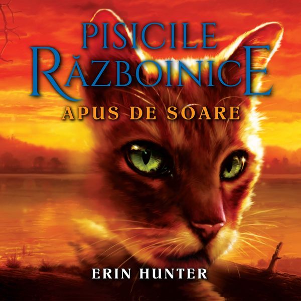 Produktbild: Apus de Soare