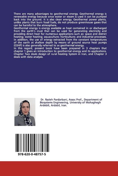 Produktbild: Application of shallow geothermal energy for heating system