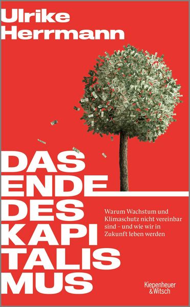 Produktbild: Das Ende des Kapitalismus