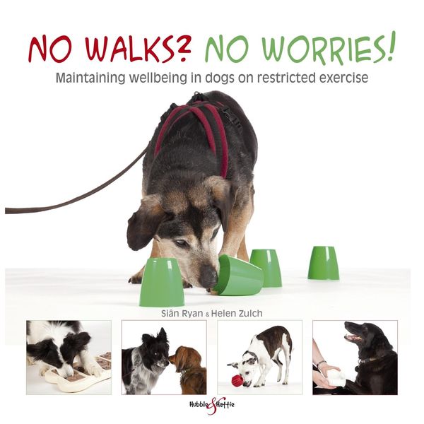 Produktbild: No walks? No worries!
