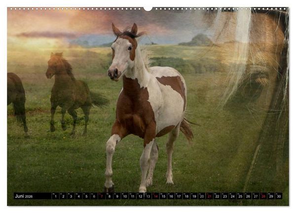 Produktbild: Western und Pferde (hochwertiger Premium Wandkalender 2026 DIN A2 quer), Kunstdruck in Hochglanz