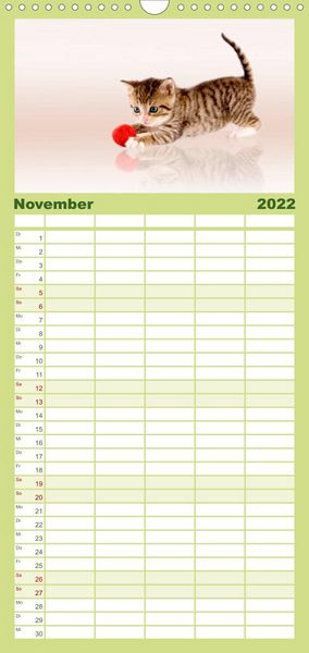 Produktbild: Familienplaner K&auml;tzchen 2022 (Wandkalender 2022 , 21 cm x 45 cm, hoch)
