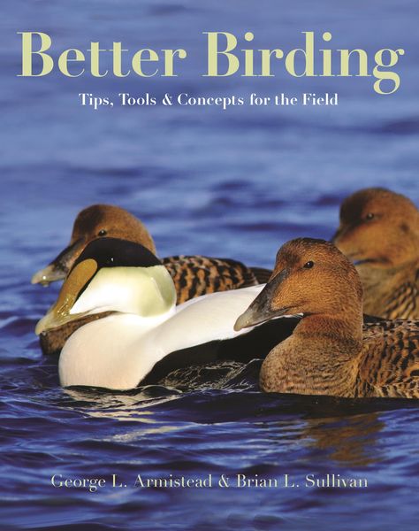 Produktbild: Better Birding