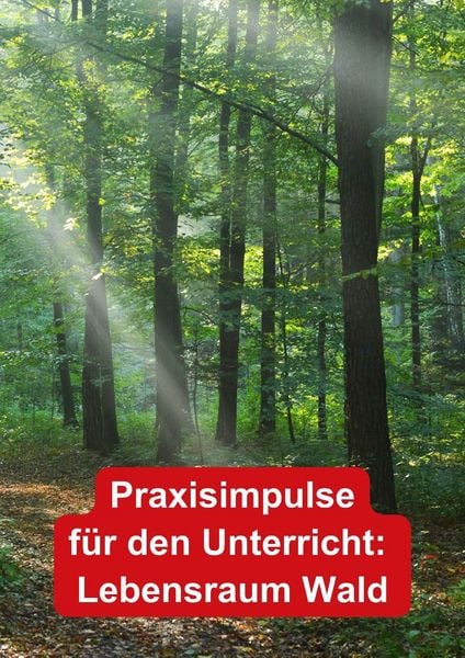 Produktbild: Themenheft Wald