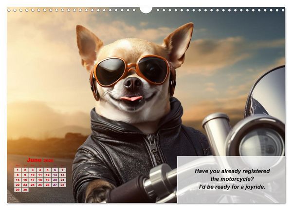 Produktbild: Great fun for Chihuahua lovers (Wall Calendar 2026 DIN A3 landscape), CALVENDO 12 Month Wall Calendar