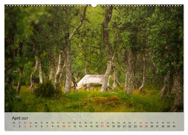 Produktbild: Magische Tiermomente (hochwertiger Premium Wandkalender 2027 DIN A2 quer), Kunstdruck in Hochglanz