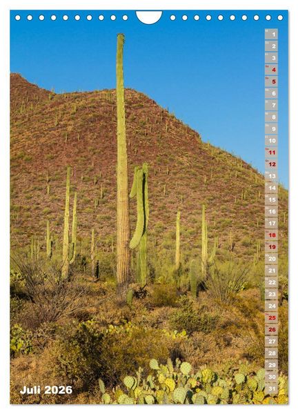 Produktbild: SAGUARO NATIONAL PARK W&uuml;stenimpressionen aus Arizona (Wandkalender 2026 DIN A4 hoch), CALVENDO Monatskalender