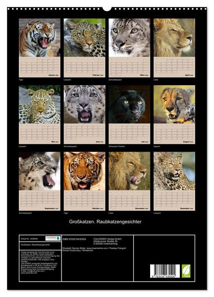 Produktbild: Gro&szlig;katzen. Raubkatzengesichter (hochwertiger Premium Wandkalender 2026 DIN A2 hoch), Kunstdruck in Hochglanz