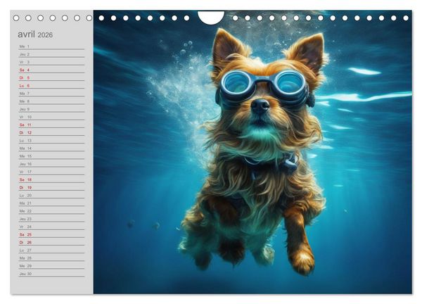 Produktbild: Chiens : les nageurs intr&eacute;pides (Calendrier mural 2026 DIN A4 vertical), CALVENDO calendrier mensuel