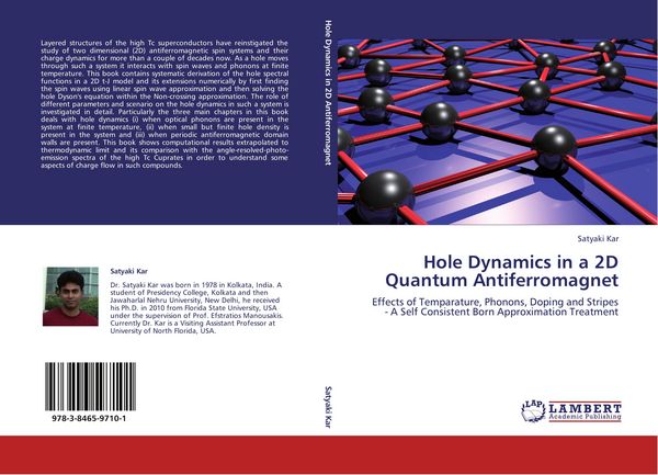 Produktbild: Hole Dynamics in a 2D Quantum Antiferromagnet
