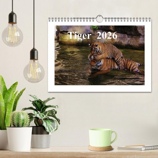 Produktbild: Tiger 2026 (Wandkalender 2026 DIN A4 quer), CALVENDO Monatskalender