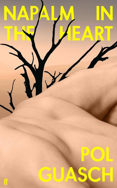 Produktbild: Napalm in the Heart