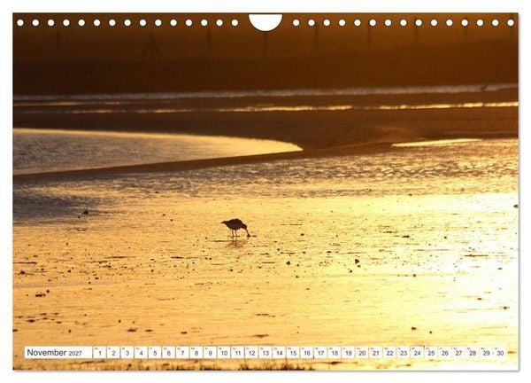 Produktbild: Seel&auml;ndisches Flandern (Wandkalender 2027 DIN A4 quer), CALVENDO Monatskalender