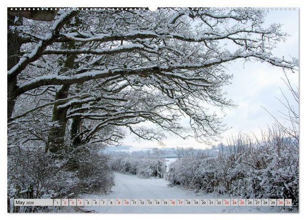 Produktbild: Snow Scenes (High Quality Premium Wall Calendar 2026 DIN A2 landscape),CALVENDO 12 Month Wall Calendar