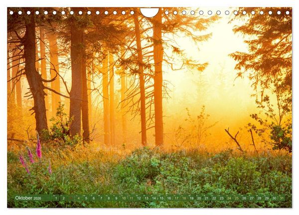 Produktbild: Farben und Muster der Erde (Wandkalender 2026 DIN A4 quer), CALVENDO Monatskalender