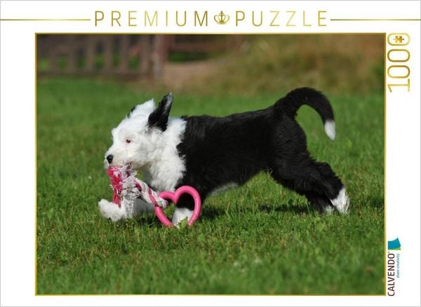 CALVENDO Puzzle Spielender Bobtail Welpe | 1000 Teile Lege-Größe 64x48cm Foto-Puzzle für glückliche Stunden