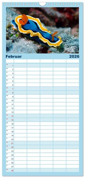Produktbild: Familienplaner 2026 - Meeres-Schnecken mit 5 Spalten (Wandkalender, 21 x 45 cm) CALVENDO