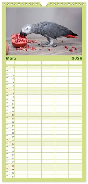 Produktbild: Familienplaner 2026 - Graupapageien zum Verlieben mit 5 Spalten (Wandkalender, 21 x 45 cm) CALVENDO