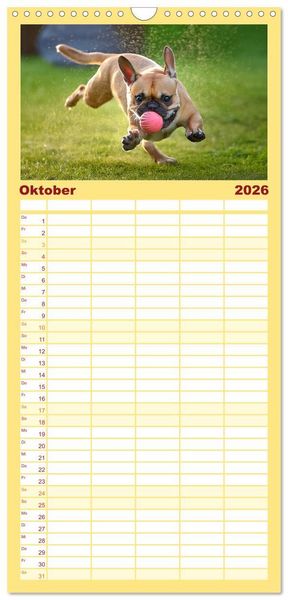 Produktbild: Familienplaner 2026 - Bullys in Action - Franz&ouml;sische Bulldoggen lieben B&auml;lle mit 5 Spalten (Wandkalender, 21 x 45 cm) CALVENDO