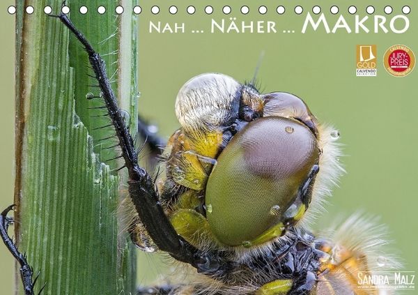 Produktbild: Nah ... N&auml;her ... MAKRO (Tischkalender immerw&auml;hrend DIN A5 quer)
