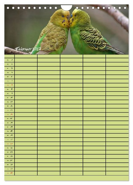 Produktbild: Der Wellensittich-Familienplaner (Wandkalender 2027 DIN A4 hoch), CALVENDO Monatskalender