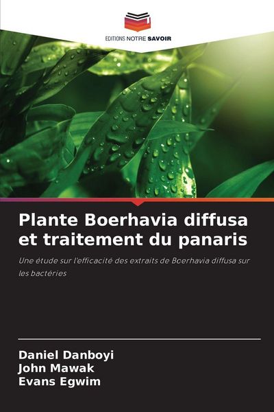 Produktbild: Plante Boerhavia diffusa et traitement du panaris