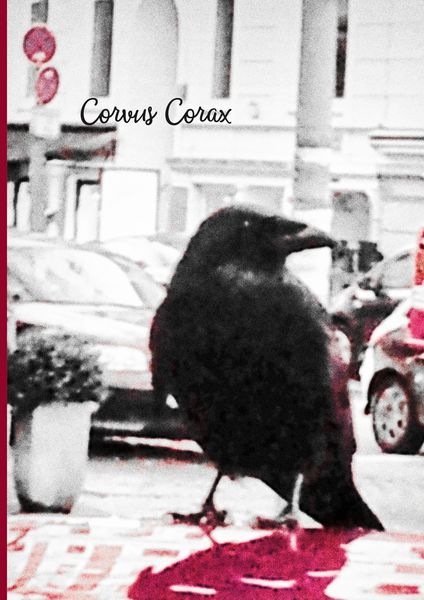 Produktbild: Corvus Corax