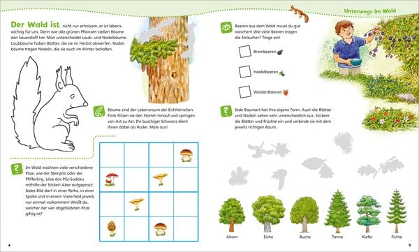 Produktbild: WAS IST WAS Junior Mitmach-Heft Natur entdecken