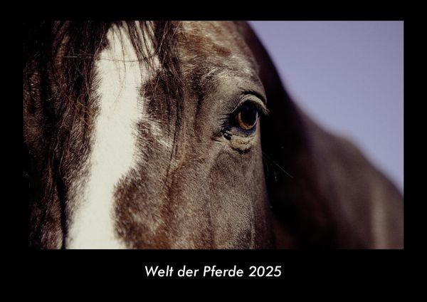 Produktbild: Welt der Pferde 2025 Fotokalender DIN A3