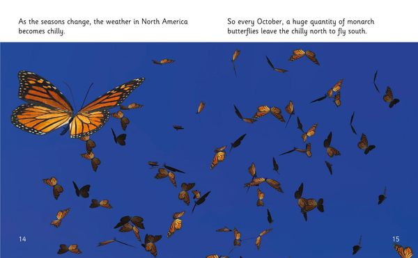 Produktbild: The Incredible Lives of Monarch Butterflies