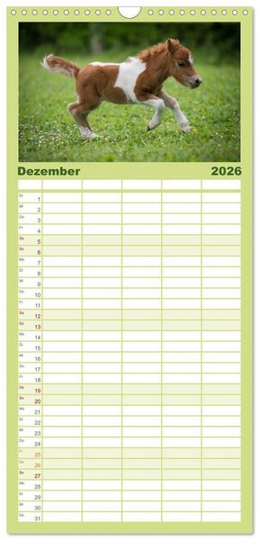 Produktbild: Familienplaner 2026 - Ponys. Herzensbrecher mit Grips mit 5 Spalten (Wandkalender, 21 x 45 cm) CALVENDO