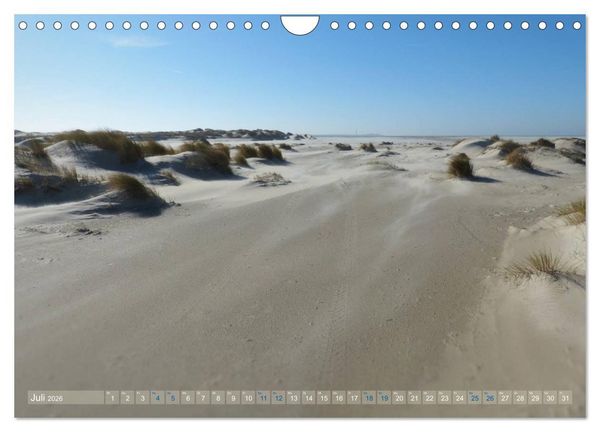 Produktbild: Texel. Neue D&uuml;nen (Wandkalender 2026 DIN A4 quer), CALVENDO Monatskalender