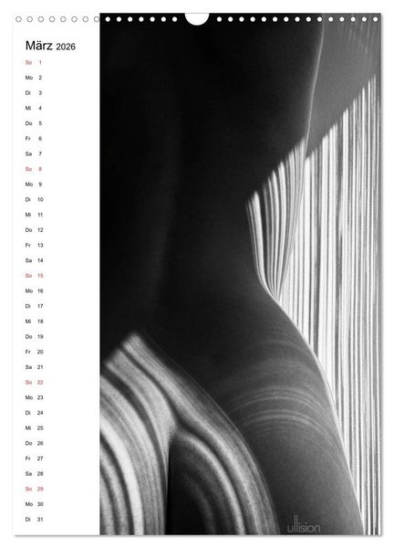 Produktbild: Akt abstrakt (Wandkalender 2026 DIN A3 hoch), CALVENDO Monatskalender