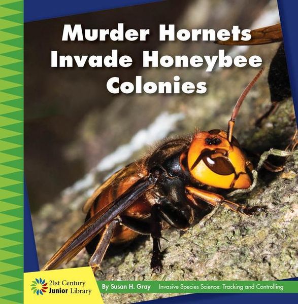 Produktbild: Murder Hornets Invade Honeybee Colonies