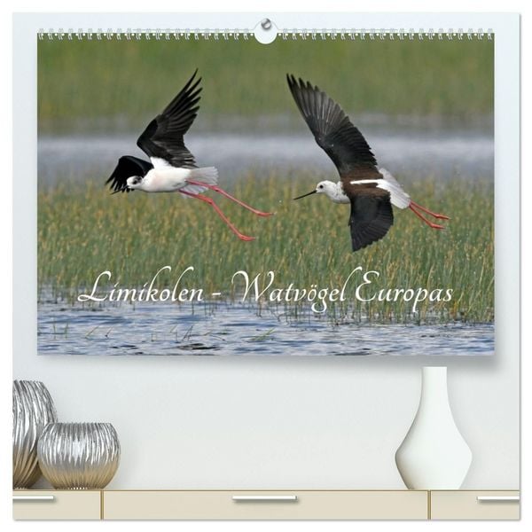Produktbild: Limikolen - Watv&ouml;gel Europas (hochwertiger Premium Wandkalender 2027 DIN A2 quer), Kunstdruck in Hochglanz