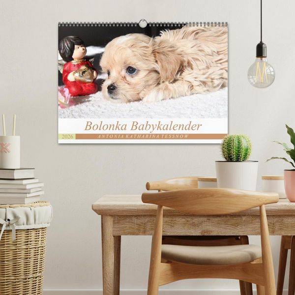 Produktbild: Bolonka Babykalender 2026 (Wandkalender 2026 DIN A3 quer), CALVENDO Monatskalender