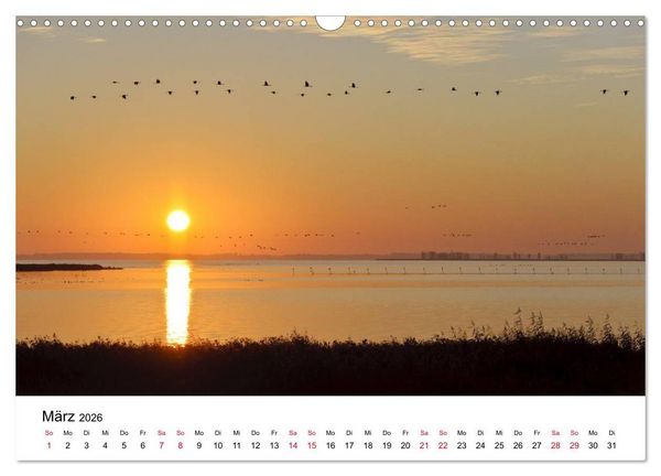 Produktbild: Zug der Kraniche (Wandkalender 2026 DIN A3 quer), CALVENDO Monatskalender