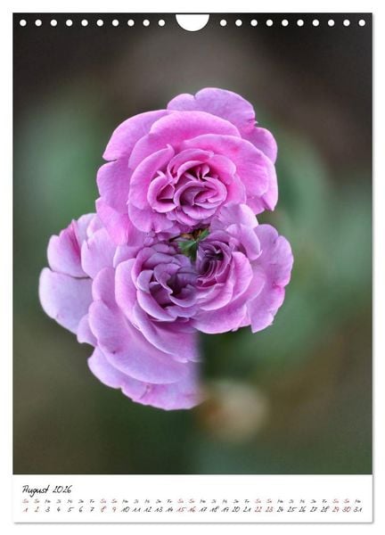 Produktbild: Durchschnittlich - Verzauberte Flora (Wandkalender 2026 DIN A4 hoch), CALVENDO Monatskalender