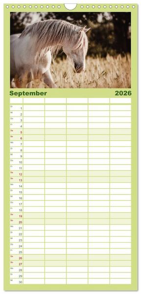 Produktbild: Familienplaner 2026 - Die Faszinierende Welt der Pferde mit 5 Spalten (Wandkalender, 21 x 45 cm) CALVENDO