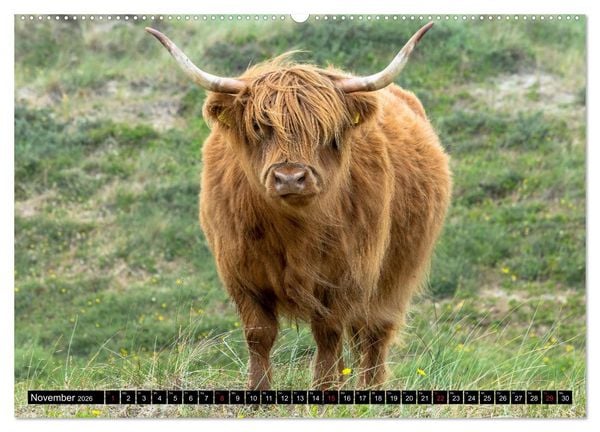 Produktbild: Egmond aan Zee - Nat&uuml;rlich (Wandkalender 2026 DIN A2 quer), CALVENDO Monatskalender