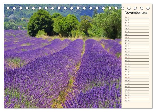 Produktbild: Lavendel (Tischkalender 2026 DIN A5 quer), CALVENDO Monatskalender