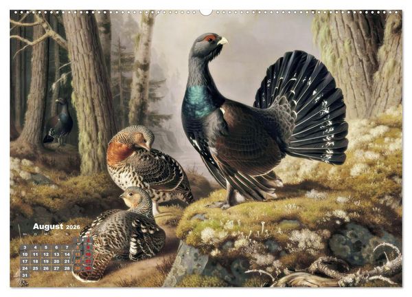 Produktbild: Stark wie der Auerhahn (hochwertiger Premium Wandkalender 2026 DIN A2 quer), Kunstdruck in Hochglanz