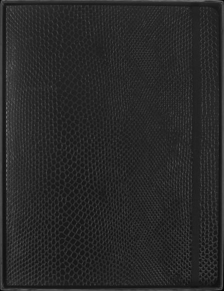 Produktbild: Moleskine Vegea Boa Notizbuch, XL, liniert, weicher Einband, schwarz, in Box