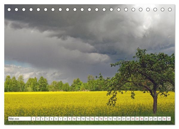Produktbild: Wildes Wendland (Tischkalender 2026 DIN A5 quer), CALVENDO Monatskalender