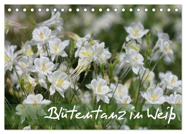 Blütentanz in Weiß (Tischkalender 2026 DIN A5 quer), CALVENDO Monatskalender