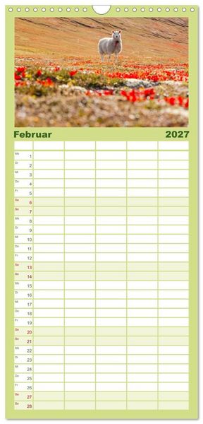 Produktbild: Familienplaner 2027 - Schafe - Weich und wollig mit 5 Spalten (Wandkalender, 21 x 45 cm) CALVENDO