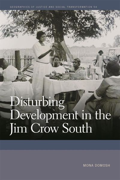 Produktbild: Disturbing Development in the Jim Crow South